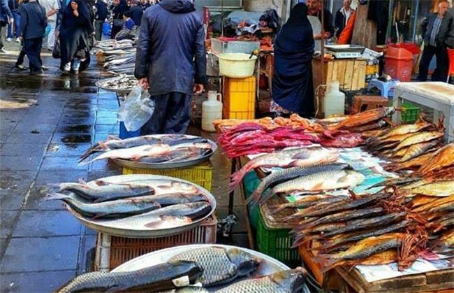 افزایش شدید قیمت اقلام غذایی؛ چرا ایرانیان در حال فقیرتر شدند هستند؟