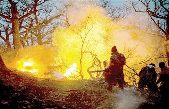 مافیای چوب پشت پرده آتش‌سوزی؟