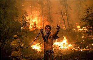مرگ سالانه ۳۳ هزار نفر در آتش‌سوزی جنگل‌های جهان