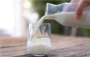 مصرف شیر گاو می‌تواند علائم ام‌اس را شدیدتر کند