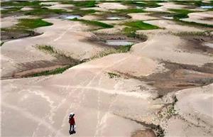گرمایش جهانی، عامل اصلی خشکسالی در آمازون