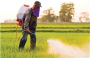 رئیس انجمن وارد‌کنندگان سم و کود: ۲۳ درصد سموم و آفت کش های مورد استفاده در کشاورزی ایران پر خطر است