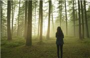 مطالعه جدید: پیاده‌روی در طبیعت به کاهش استرس کمک می‌کند